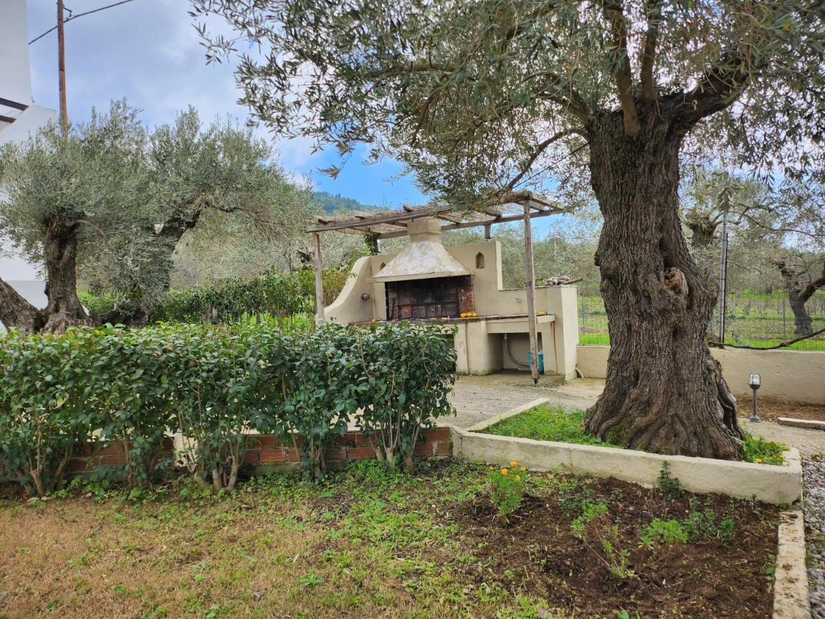 Skopelos Evergreen Apartments Stafylos Esterno foto
