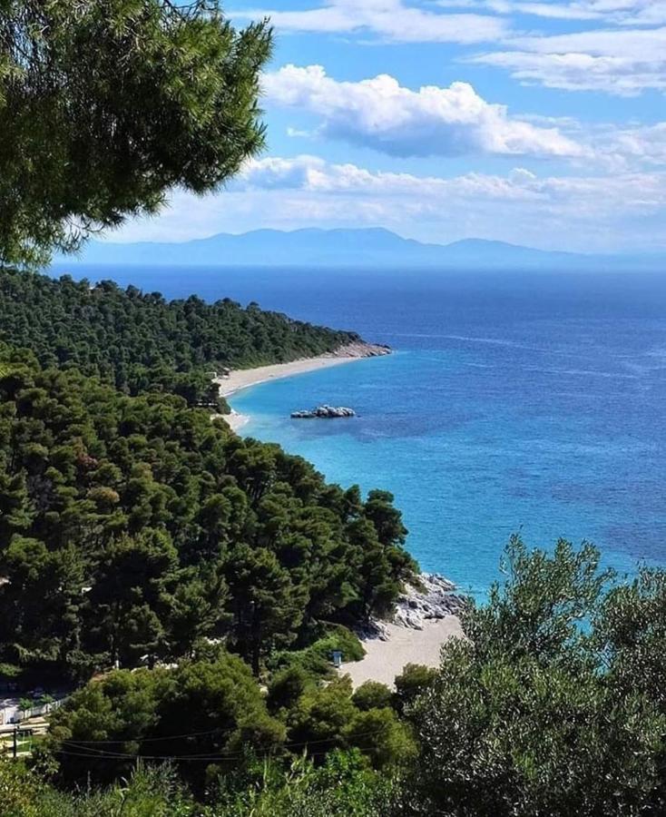 Skopelos Evergreen Apartments Stafylos Esterno foto