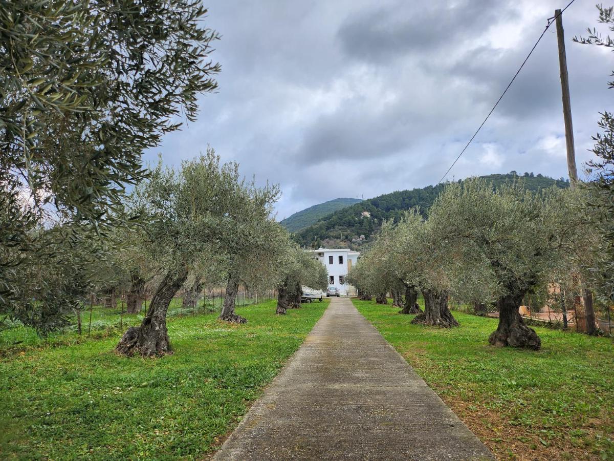 Skopelos Evergreen Apartments Stafylos Esterno foto